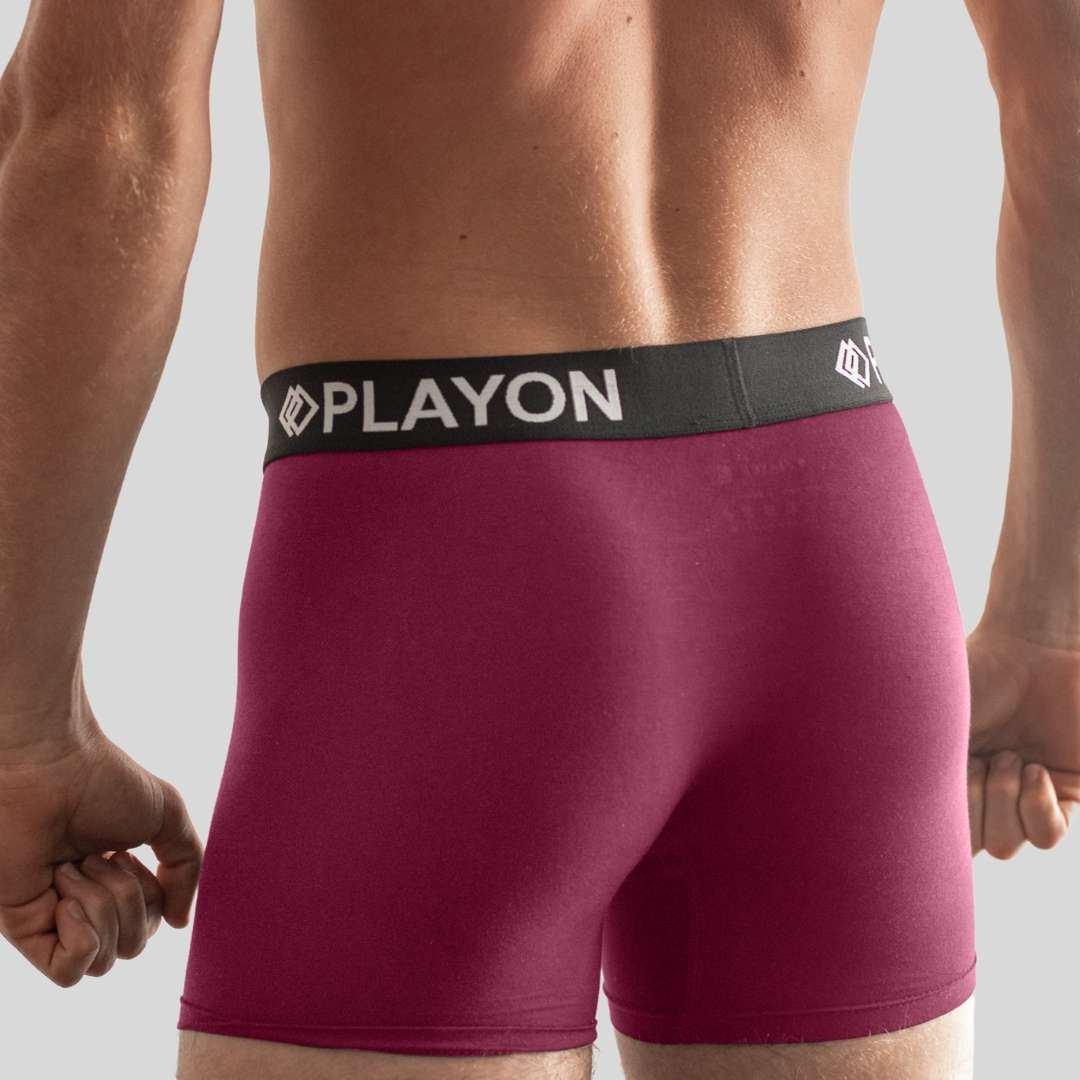 Burgundy_Breeze_Rear