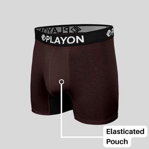 Chestnut_Brown_Feature