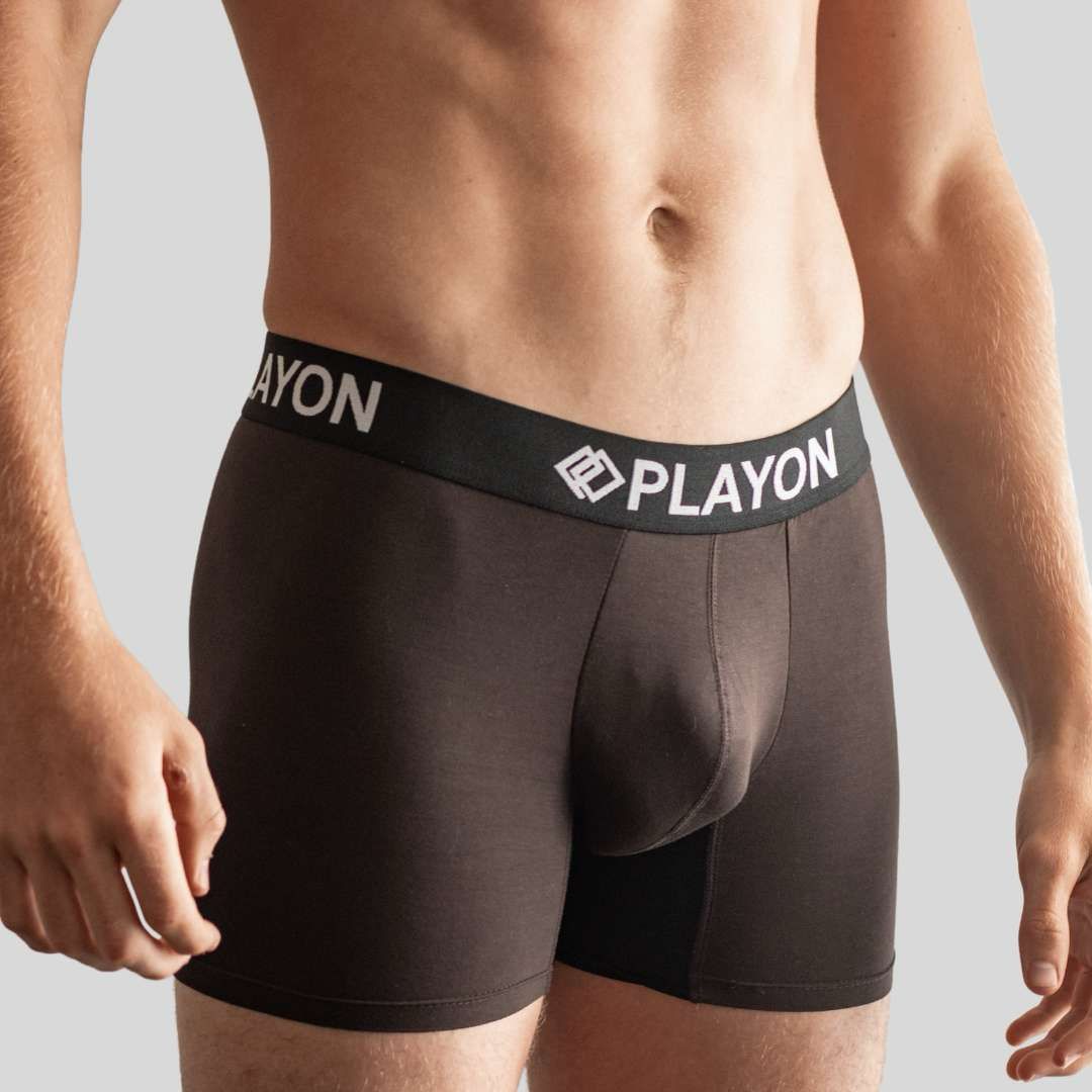 Chestnut_Brown_Front