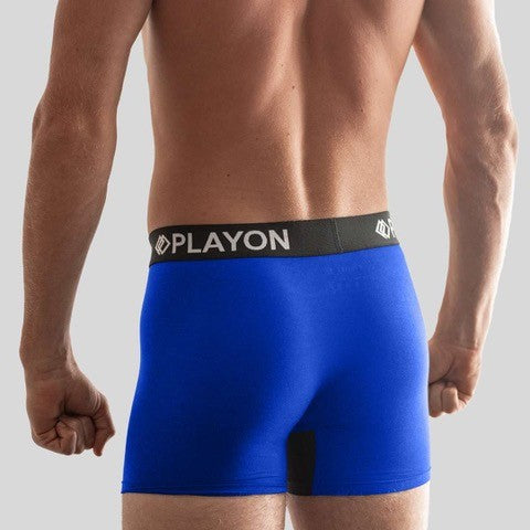 starlight_blue_model